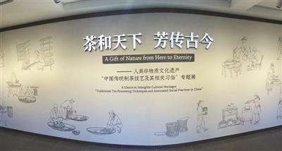 中国茶叶博物馆重新开馆，主题展览值得一看 再续茶缘，共同探寻茶香里的“诗与远方”
