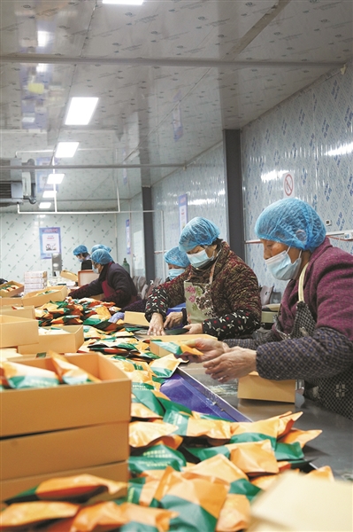 “茶香”寻着“荷香”来 临平运河“奶奶工坊”忙“加班”