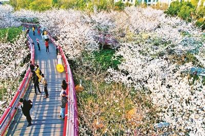 宁波市评定五星级公园23个