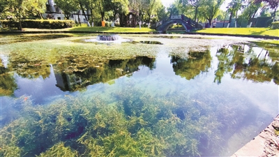 再生水“养”出生态湿地公园