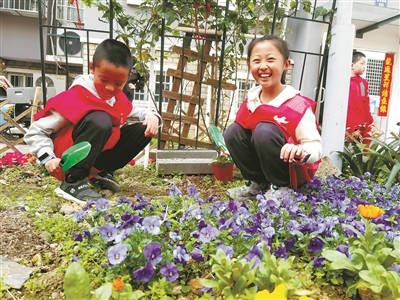 左邻右舍一起栽盆景拥抱春天