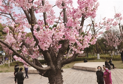 花点时间去踏青