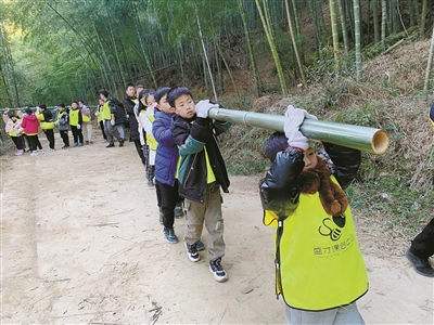 勤勇村：荒废茶园变身“共富农场”