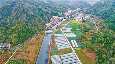 从“卖蔬菜”到“卖风景” 建德大洋打造“未来乡村”自然基地模板