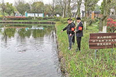 变“环境赔偿金”为“生态修复金” 湖州“司法碳汇生态补偿” 成就一方碧波