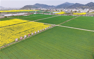 一马平川好种粮