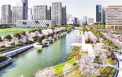 打造“高颜值” 水生态风景线