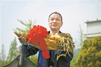 品清雅竹韵 振魅力竹乡  海曙乡村旅游季系列活动举行