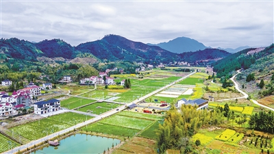 村村打造精品特色产业 常山新昌乡：抱团探索共富路