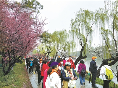 旅游行业全面复苏 导游迎来换证潮