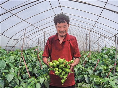 既埋头种地，也抬头看“天”  他带领周边农户共同致富