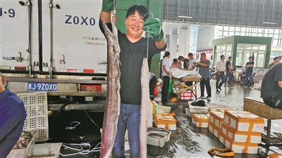 海钓鲜鱼来了，冻品海鲜不再“独大”  伏季休渔期，生产性钓船带来可观新鲜钓货