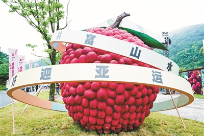 萧山杜家：25年“梅”好再结共富果