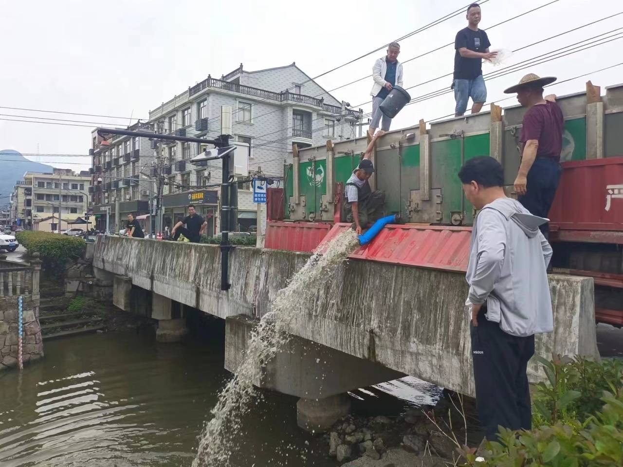 临海上盘140万尾鱼游入大河 