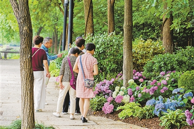 一个个“金点子”，点亮拱墅绿道的未来图景