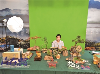 一场由泰顺龟湖镇组织开展的带货直播刷屏当地朋友圈