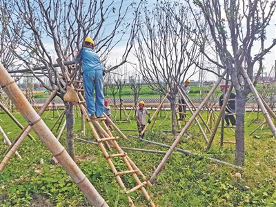 海塘安澜工程现场  建设者为海上绿色长城“撑腰”