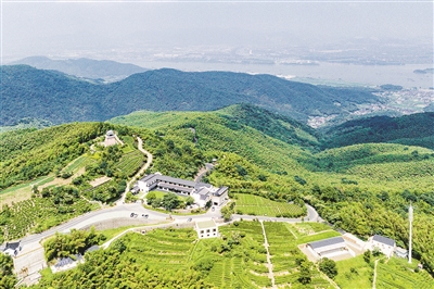 义桥寺坞岭建起“新型科学农家乐”