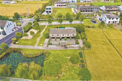 赋能，助推乡村振兴  龙港农文旅融合激活产业发展新动能