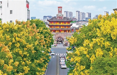 昨日入秋 一城花香