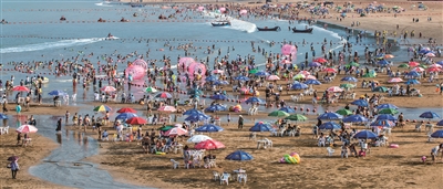 8天时间56万人次涌入这条海岸  ——“五个迈进·苍南脉动”系列报道②