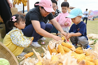 2023农民丰收节、海稻音乐节昨开幕  稻花香里说丰年 “农”墨重彩绘“丰”景