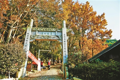 登高步行又多了好去处  鄞州横溪新添3条古道精品线