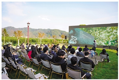 美丽茶村办起了国际电影展 “艺术村长”项目又添新成果