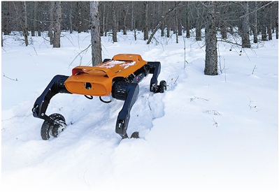 勇闯“生命禁区”，一年斩获5亿订单 一只钱塘“机器狗”的差异化突围