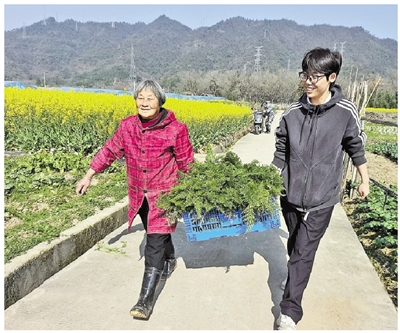 七旬菜农“坐等”买家 “00后”女孩蹬车上门 “山货先生”助农“鲜”行记