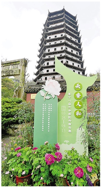 古塔缀天香 第十八届六和塔牡丹精品展开幕