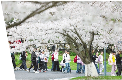 德清下渚湖“一湖一谷” 赏花季浪漫启幕