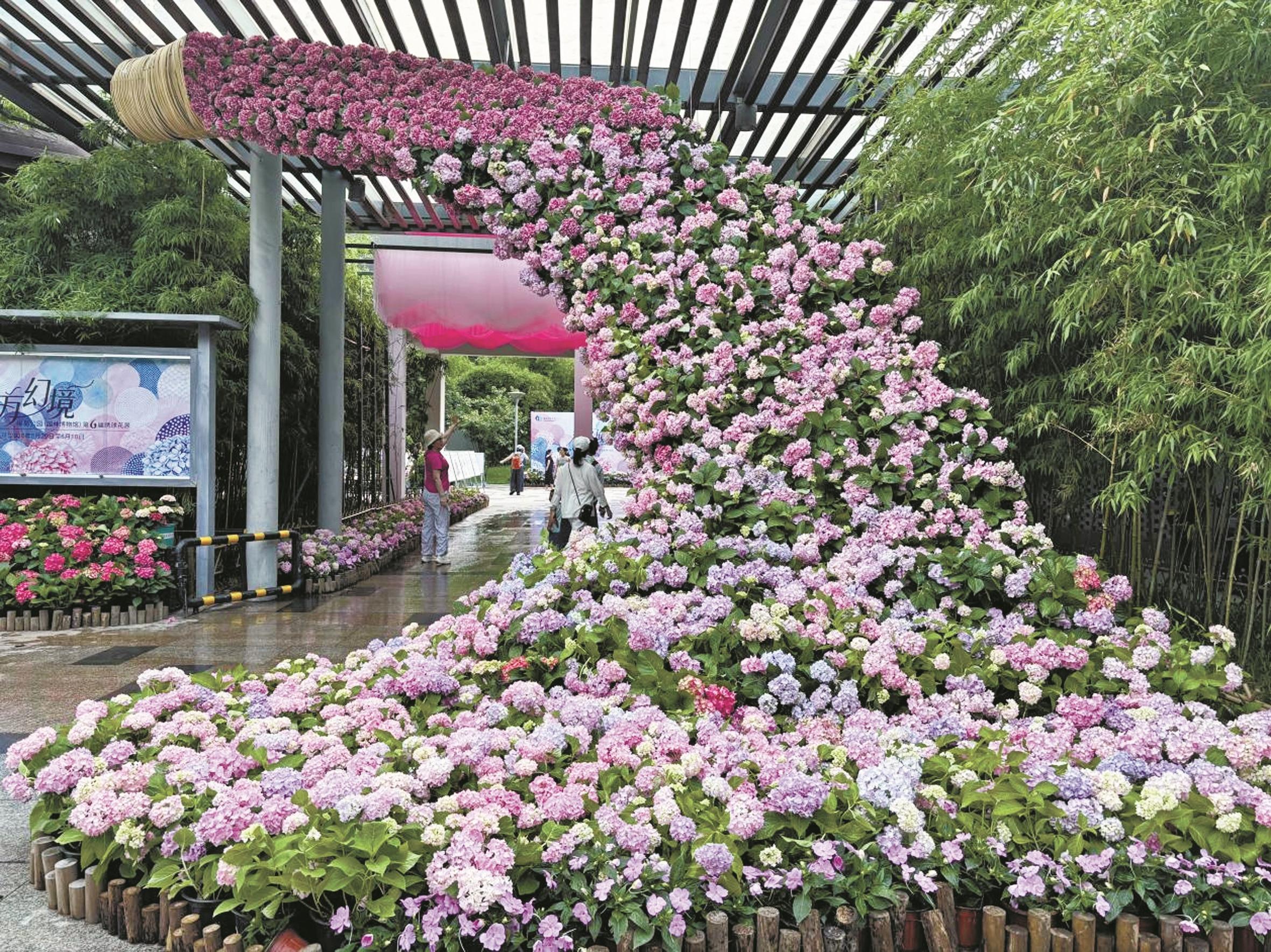 绣球花展今日启幕 万株绣球花等你来打卡
