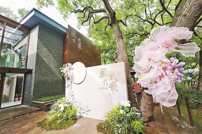 以爱为桥 文明共生