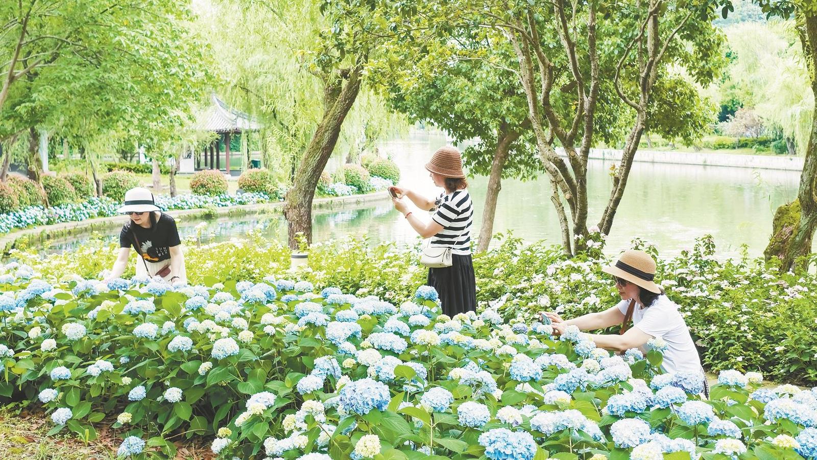 花团锦簇