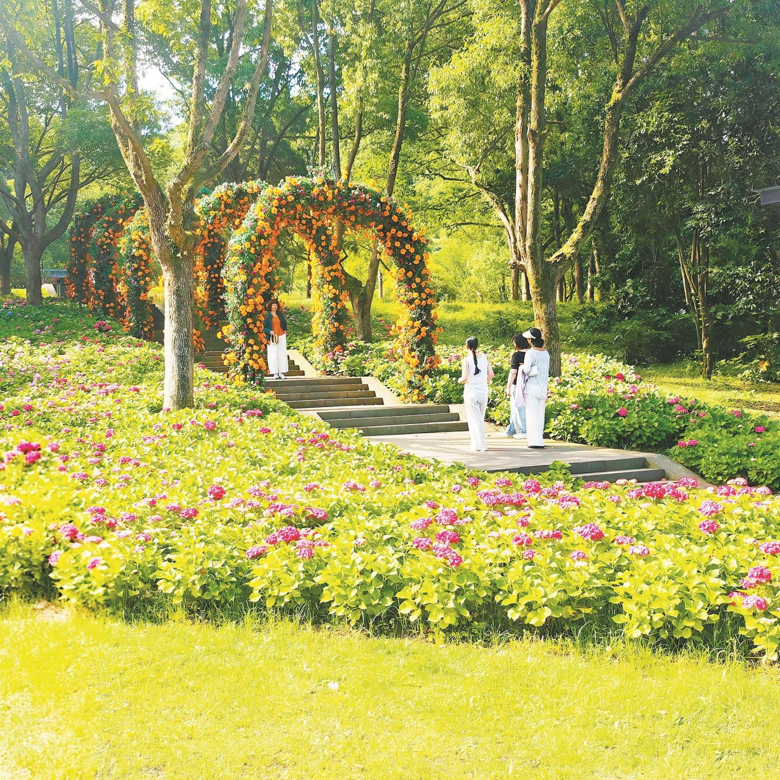 “南镇观花”今成网红实景