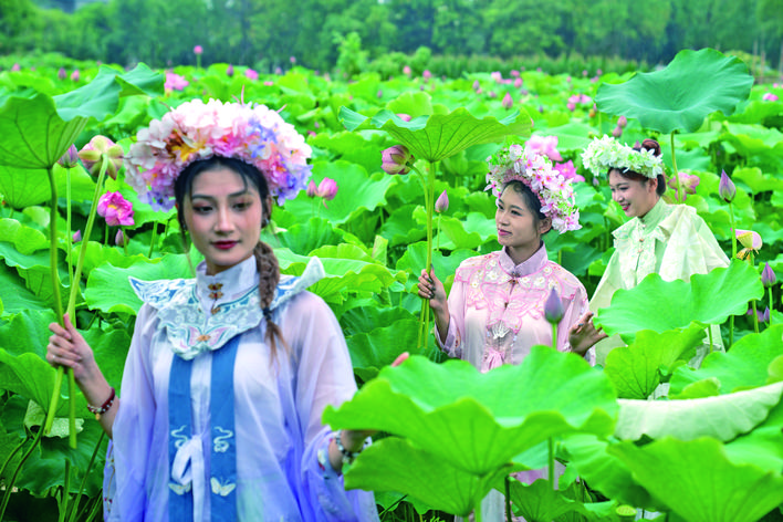 农文旅融“荷”产业兴