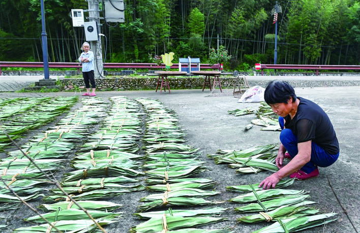 箬叶激活林下经济