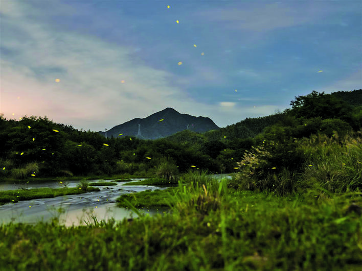 点点微光 点缀夜空
