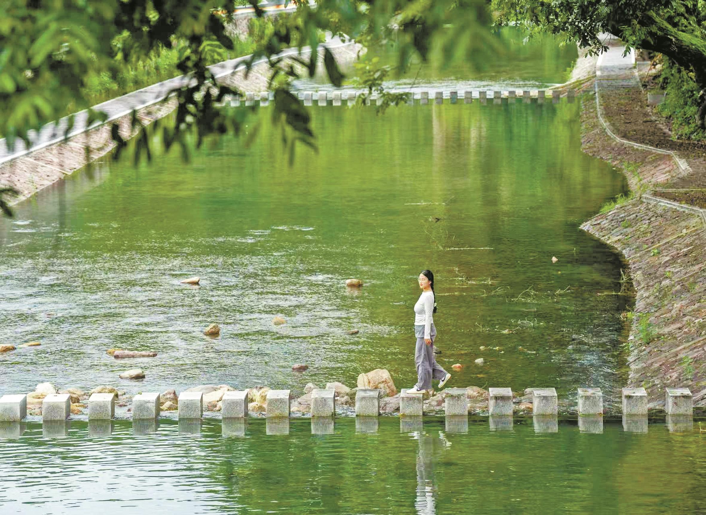 盛夏，亲水经济的“热”效应