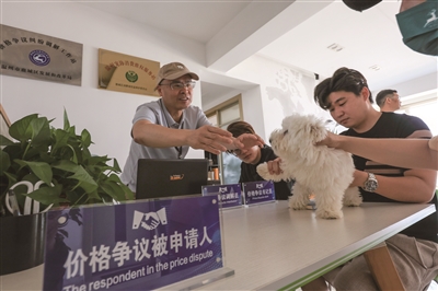 设立调解站点 调处宠物纠纷