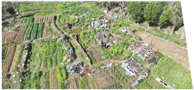 菜园变公园 居民齐点赞 杭州深化违建治理让城市更“新”