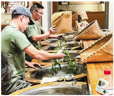 200℃铁锅淬炼青春 208人开练 “西湖炒茶秘籍”