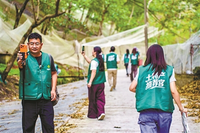 懂技术 会直播 能下地 奔走一线，杭州供销人练成“多面手”