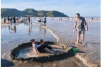 碧海晴沙引客来